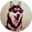 Jaime profile picture